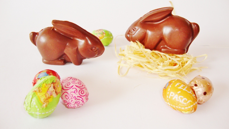 COELHINHOS (800x450)